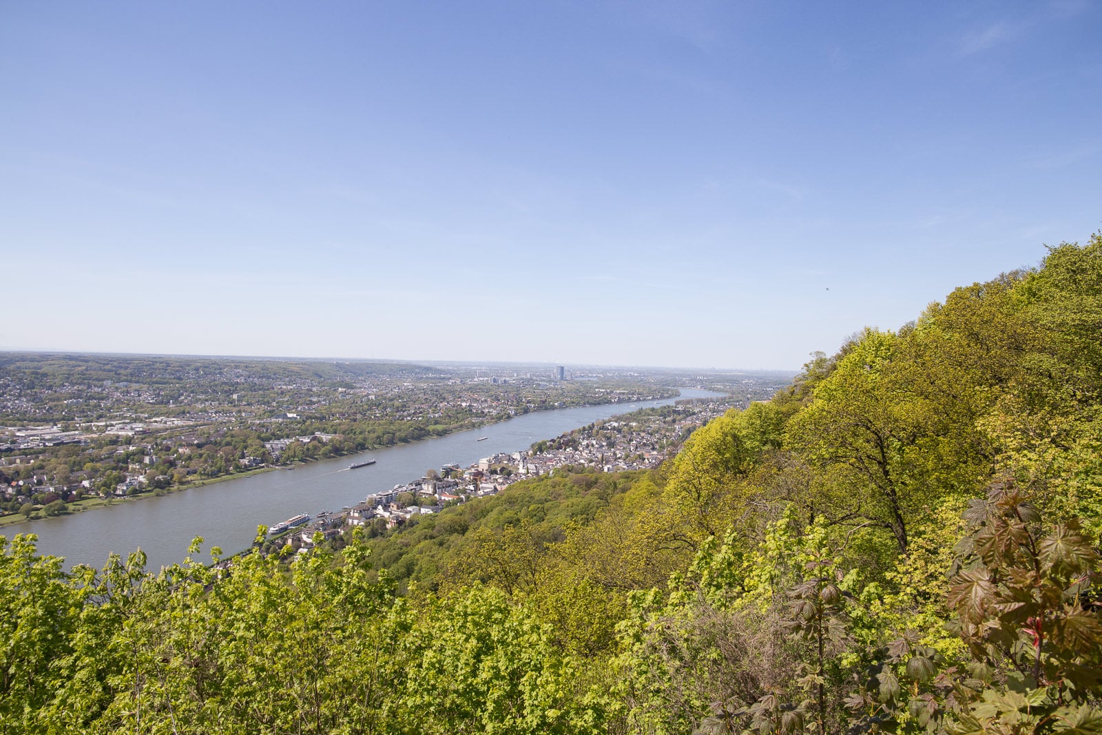 Blick vom Drachenfels bis Köln