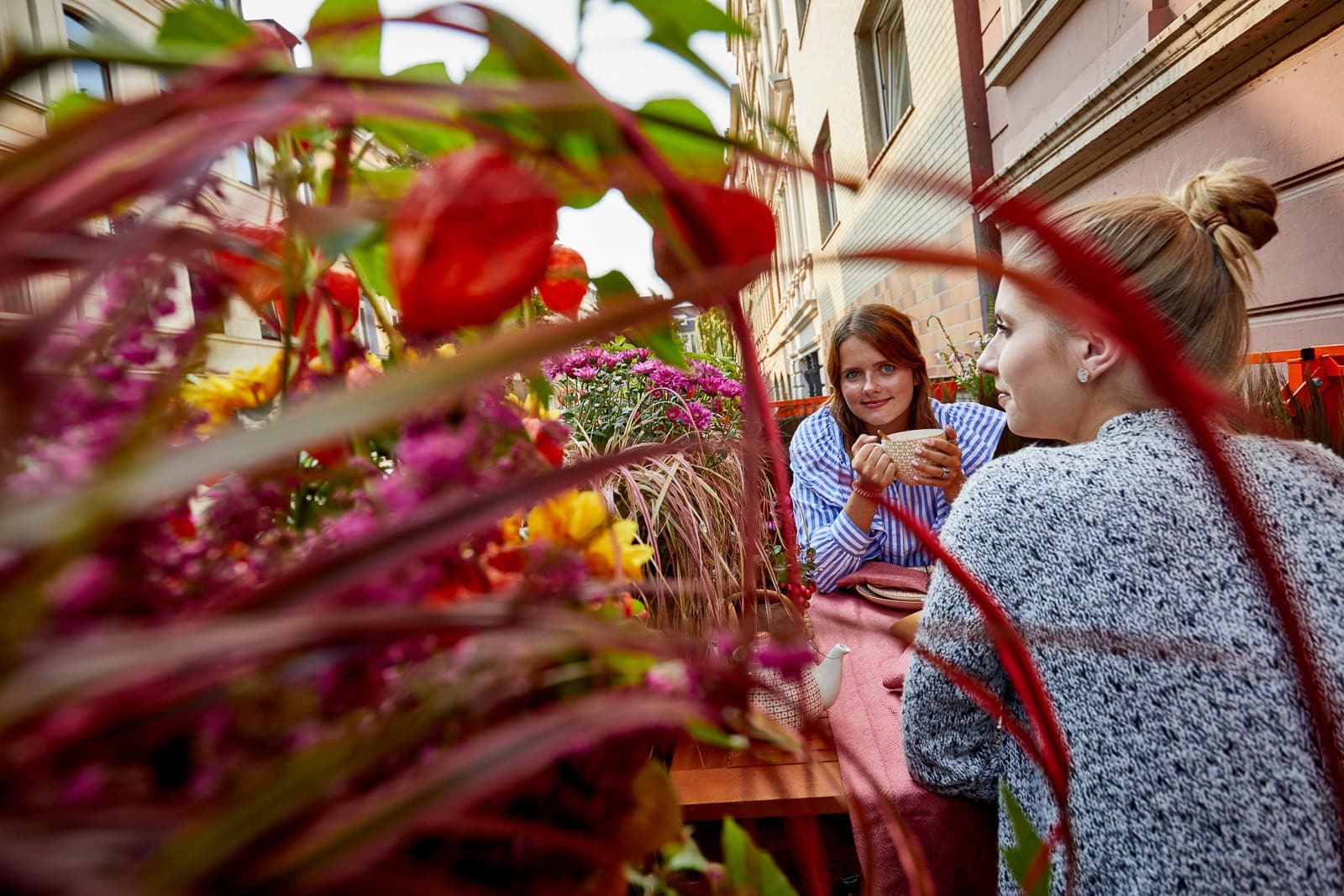 Indian Summer mit Pflanzenfreude.de: Mein Balkon für einen Tag