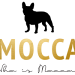 Who is mocca