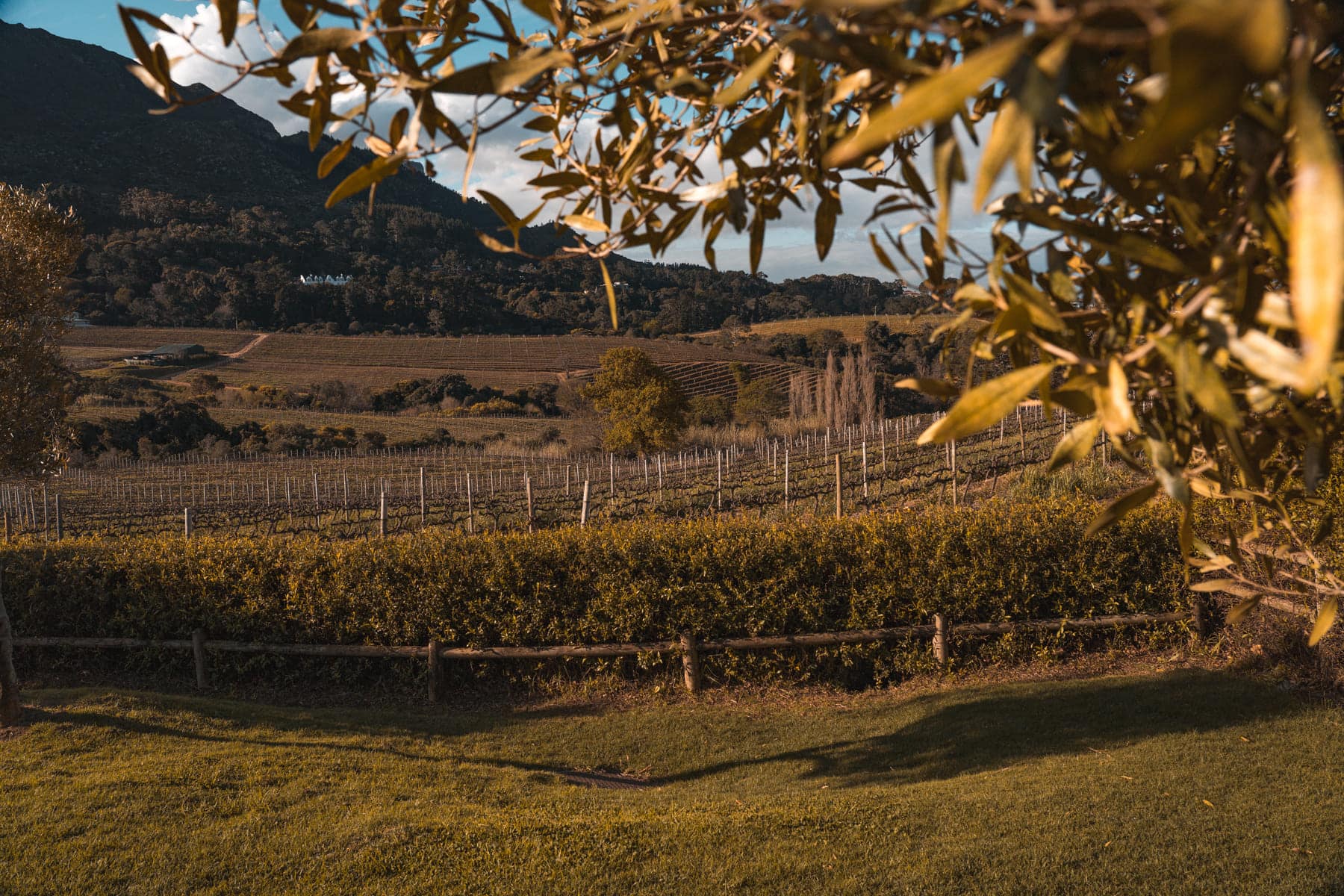 Garten Route Roadtrip - Weinprobe in Stellenbosch