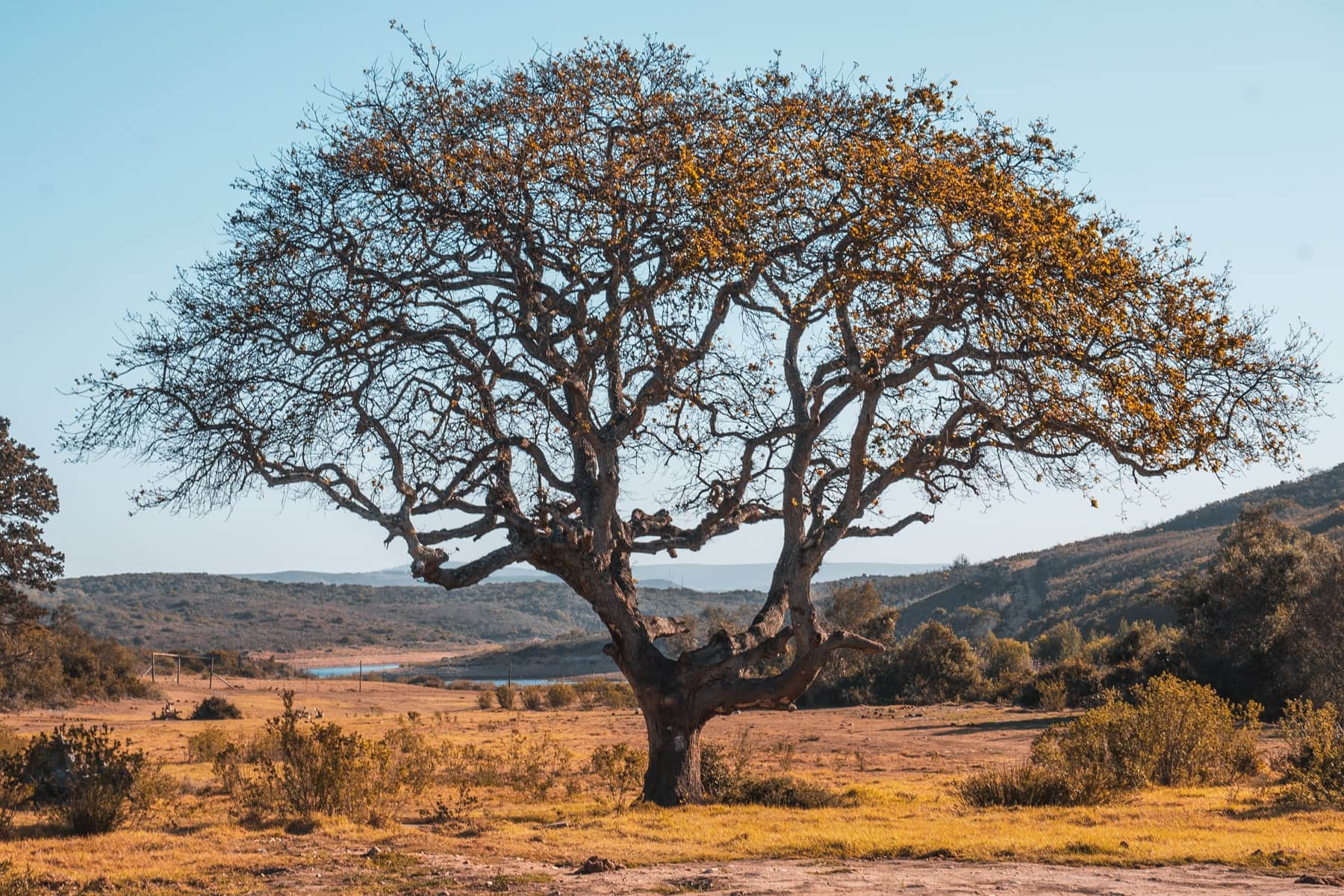 Garden Route Ausflüge Von Kapstadt Safaris Touren And Unterkünfte