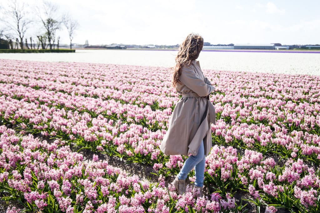 Entdecke die Tulpenblüte in Holland - Der Keukenhof in Lisse
