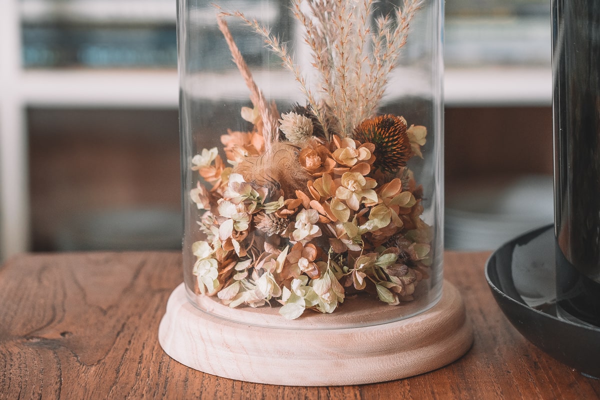 DIY Glasglocke mit Trockenblumen selbst dekorieren