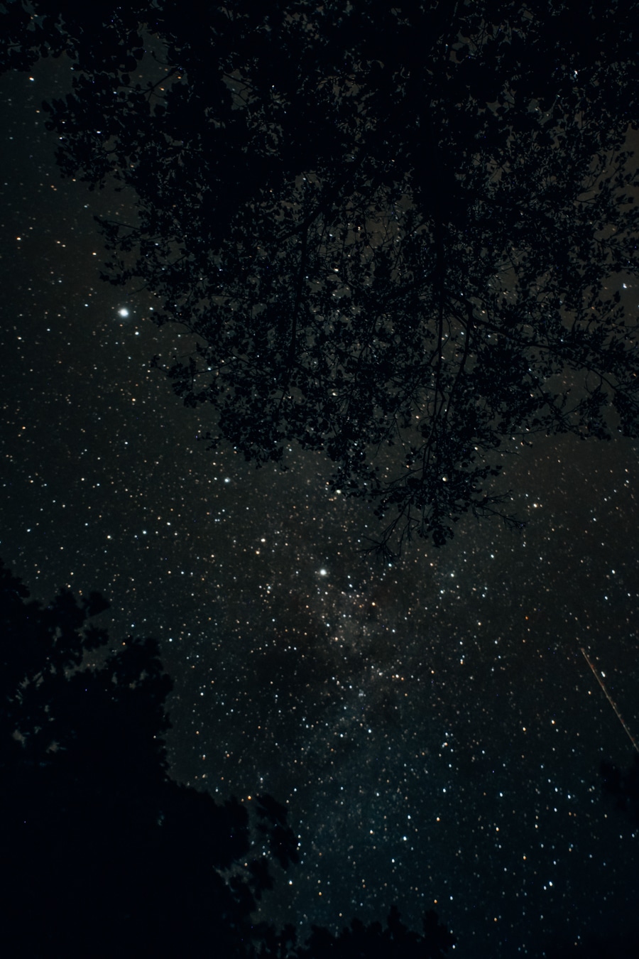 Sterne beoachten im Dark Sky Park Lauwarsmeer in Holland