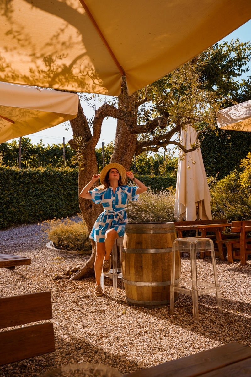 5 Tipps für deine Italien Reise rund um Lazise am Gardasee - Weinprobe bei Roccolo del Lago